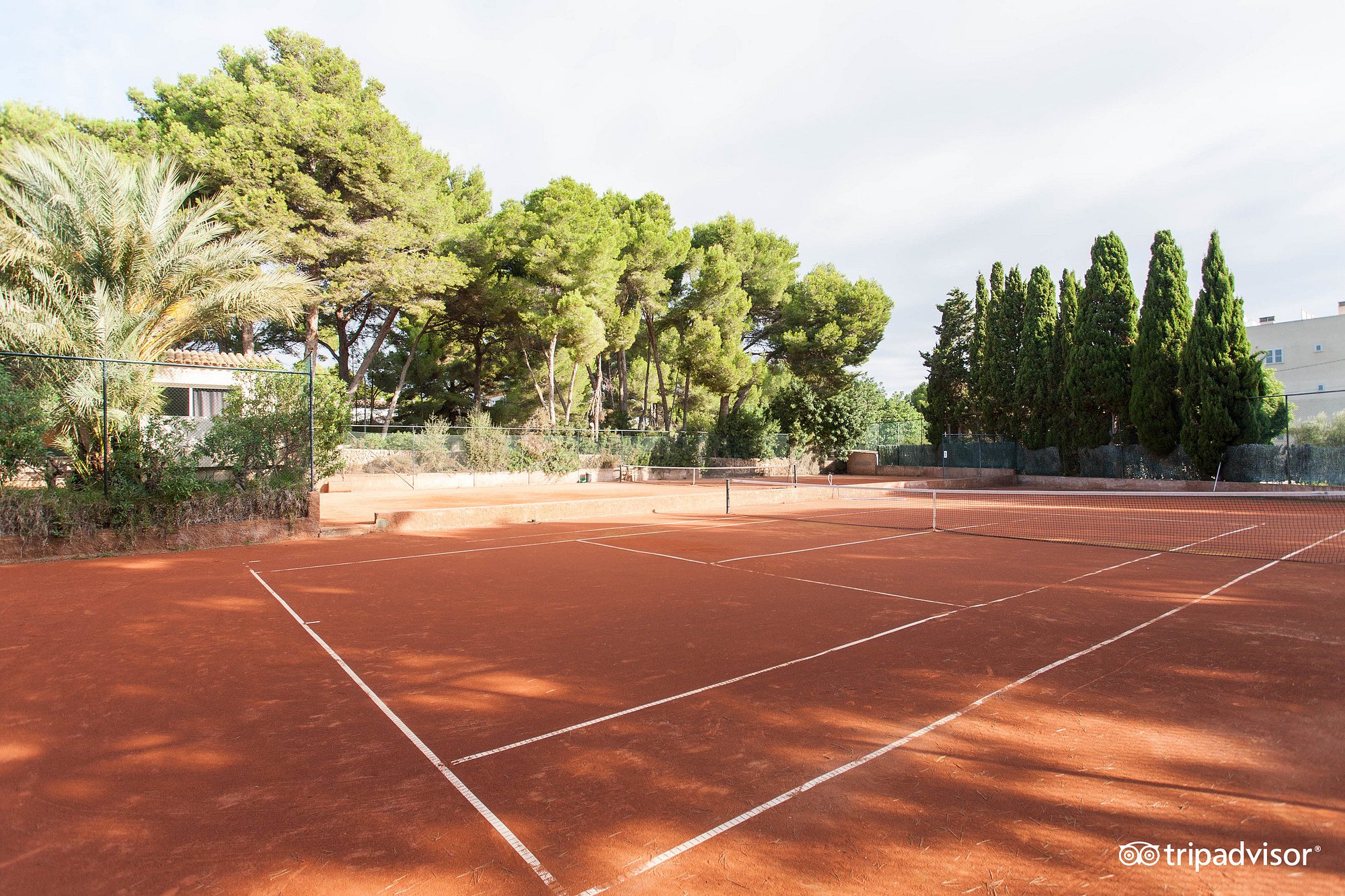 Tennis – image 5 of 6