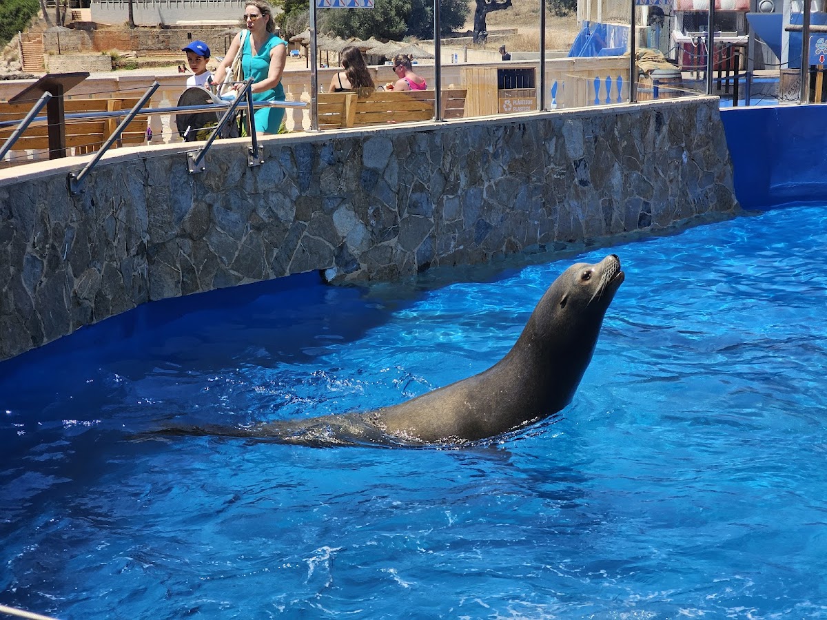 Marineland Mallorca — photo 4 of 5