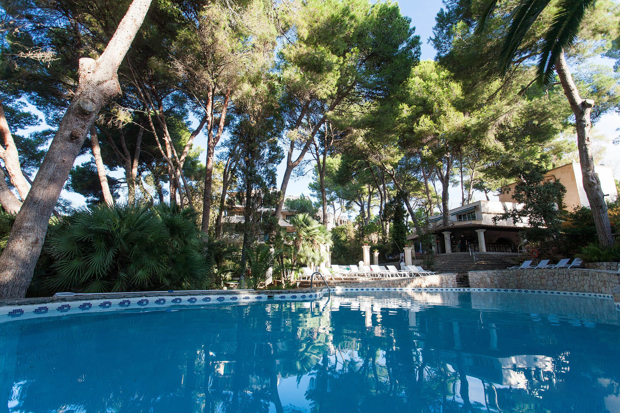 Main pool – image 4 of 11