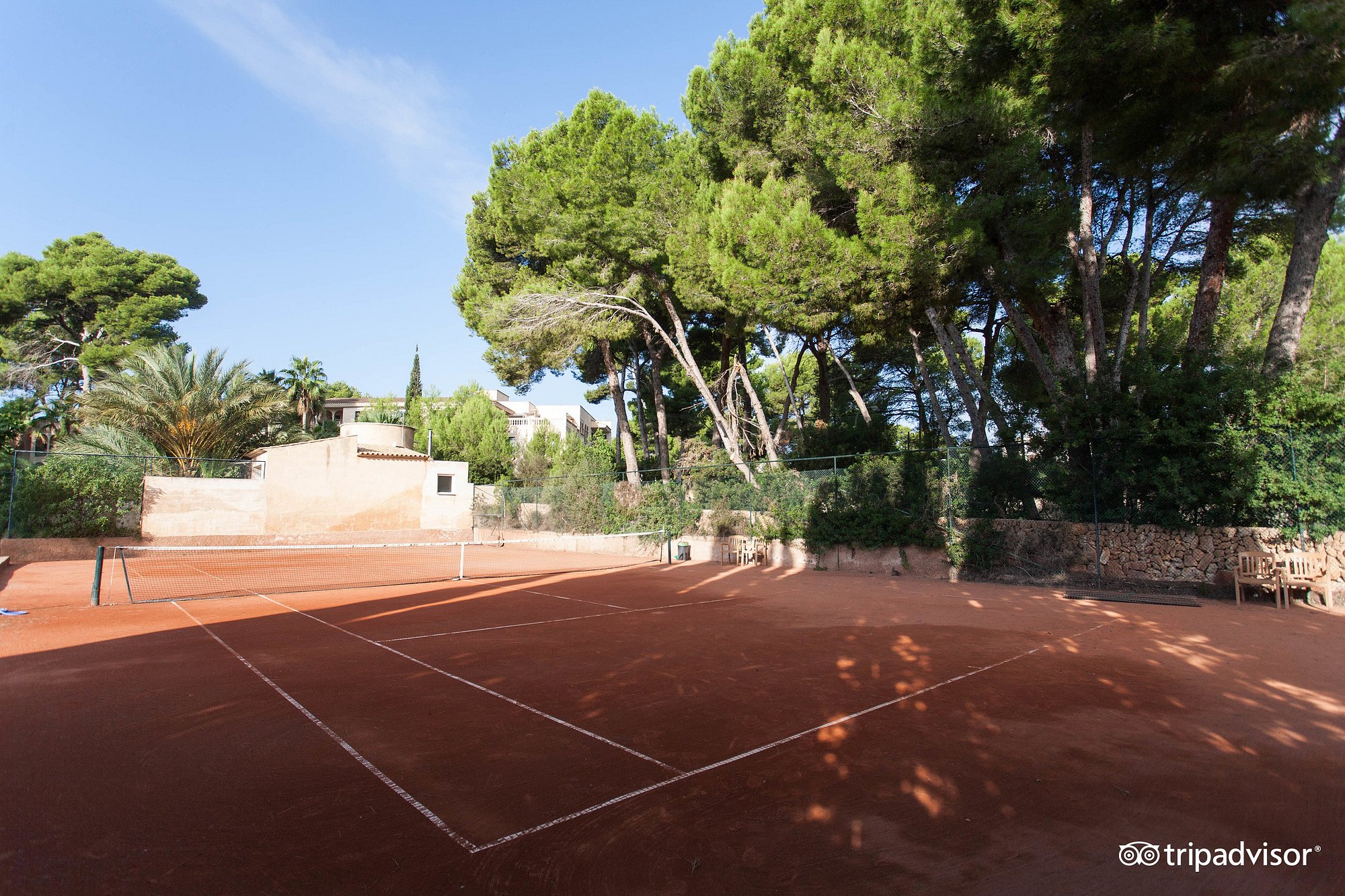 Tennis – image 2 of 6