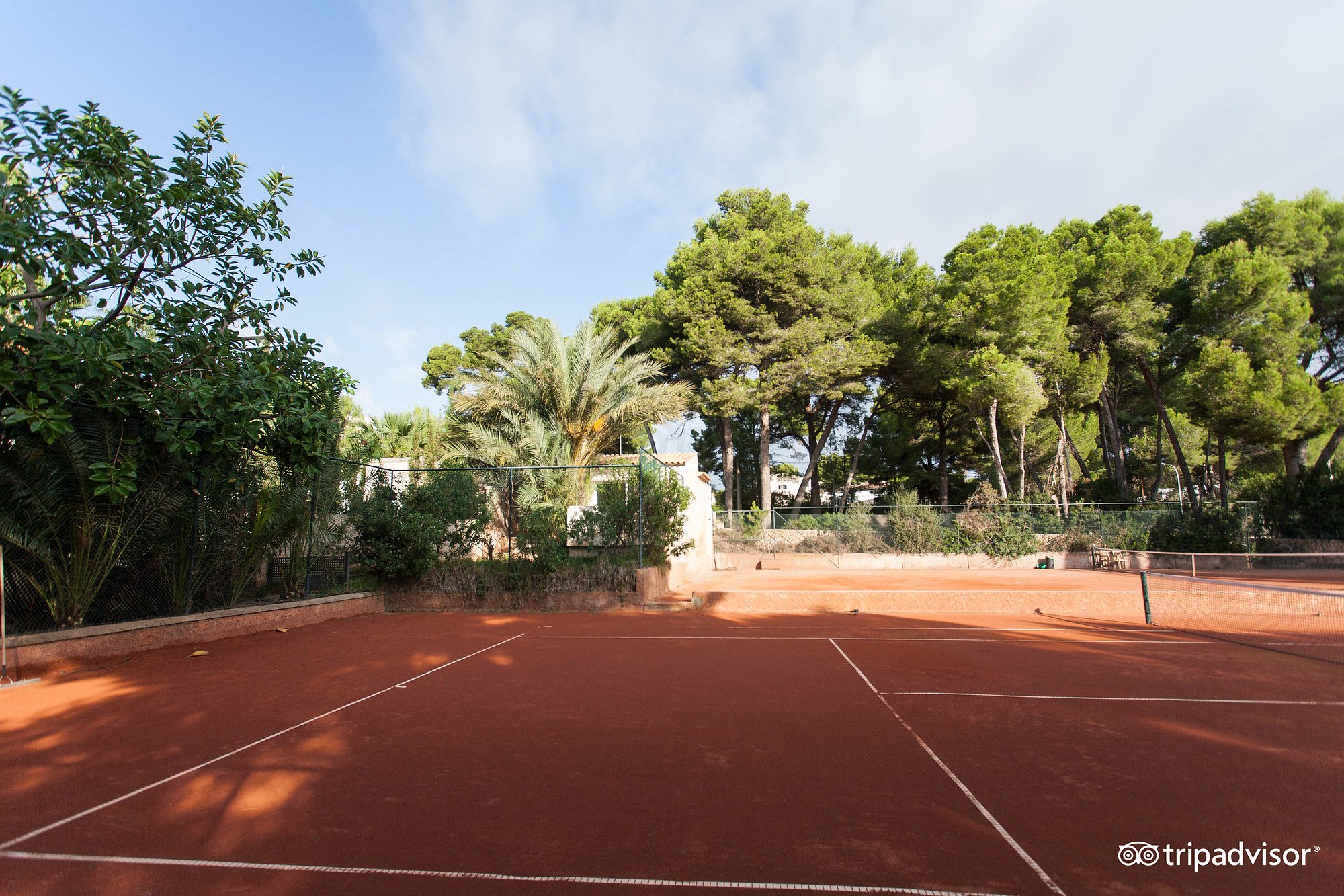 Tennis – image 6 of 6