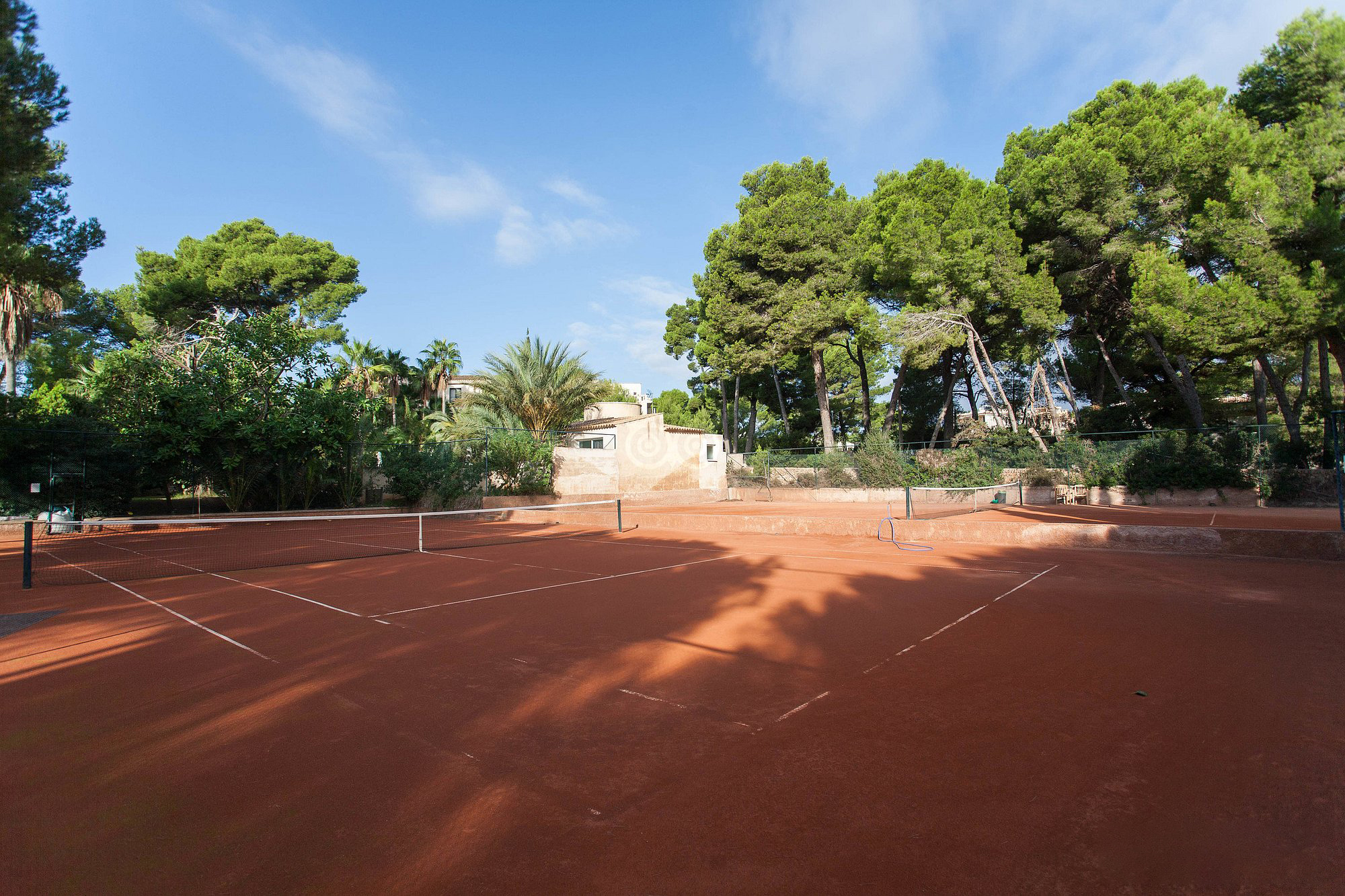 Tennis – image 3 of 6