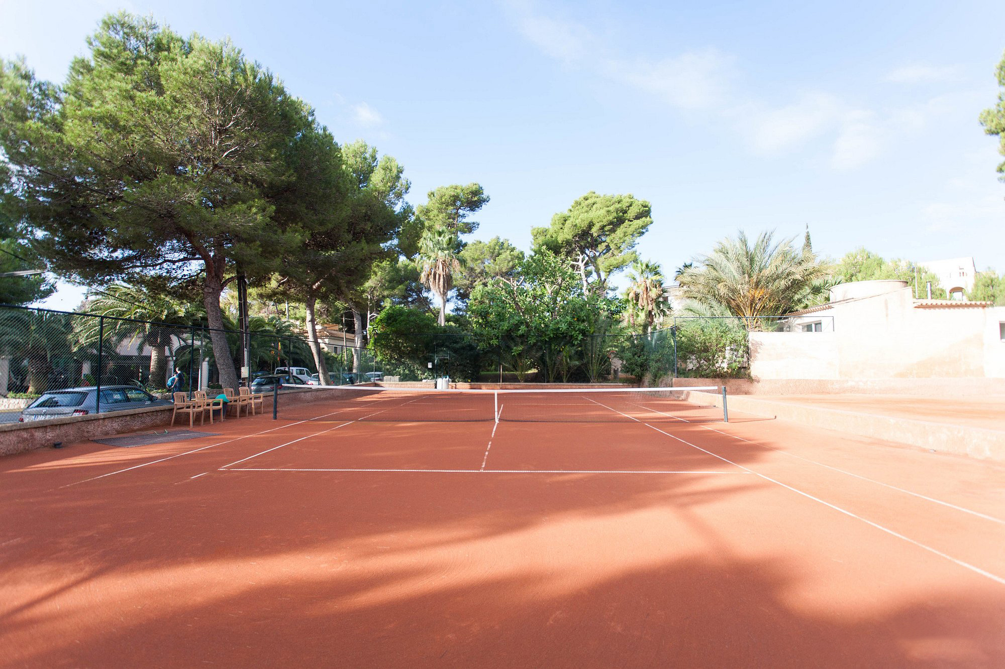 Tennis – image 4 of 6