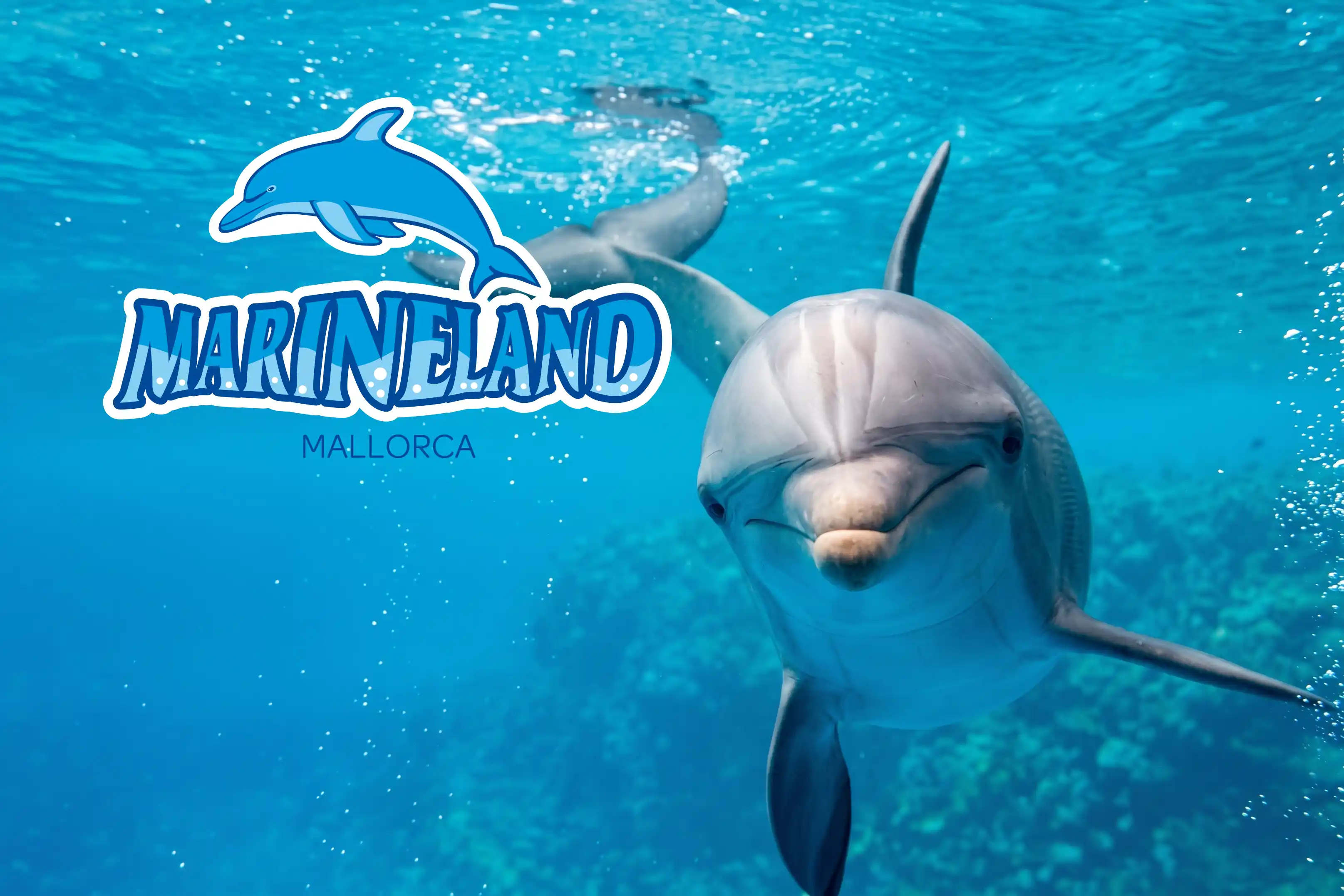 Marineland Mallorca — photo 1 of 5